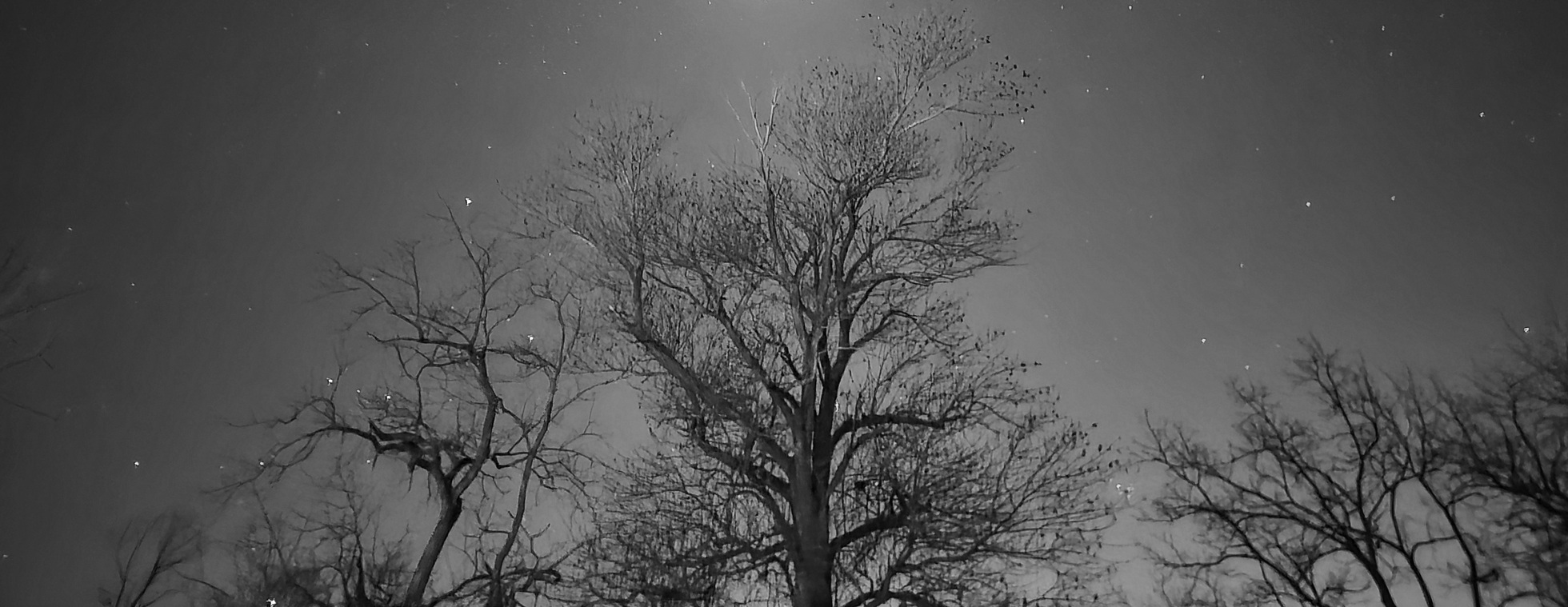 Saturday Summer Series: Night Hike